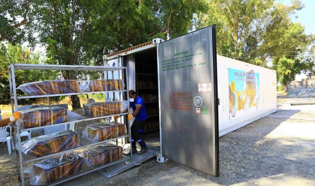 Muğla Büyükşehir Belediyesi arıcıların en büyük sorunlarından biri olan büyük