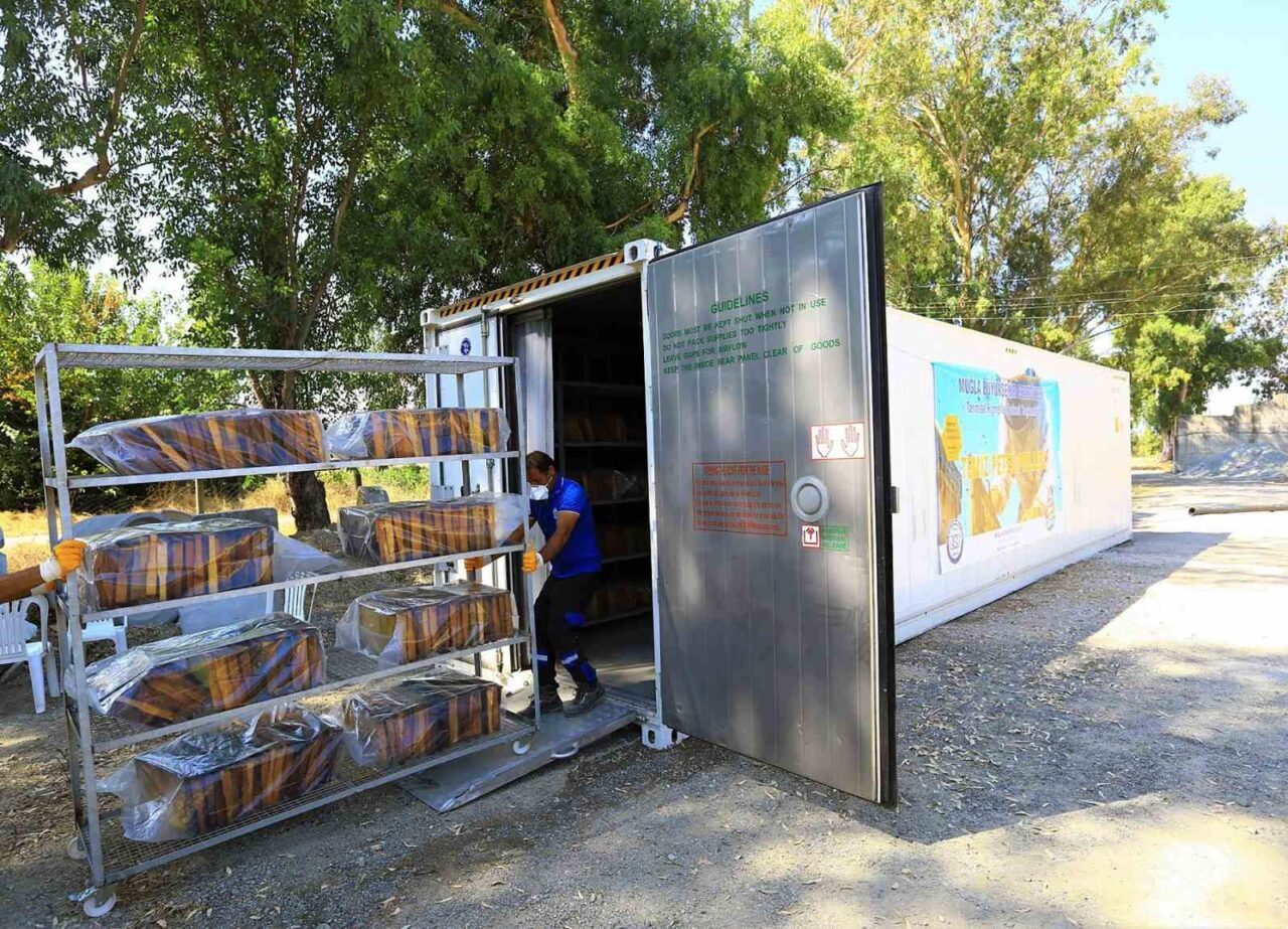 Muğla Büyükşehir Belediyesi arıcıların en büyük sorunlarından biri olan büyük