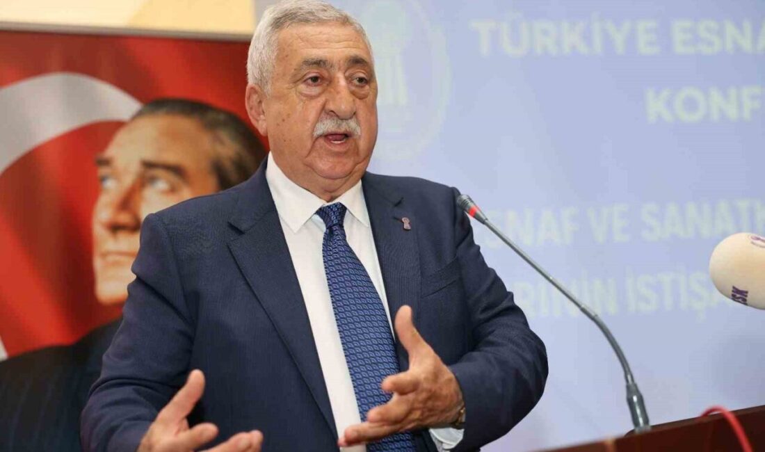 Türkiye Esnaf ve Sanatkârları Konfederasyonu (TESK) Başkanı Bendevi Palandöken, “30