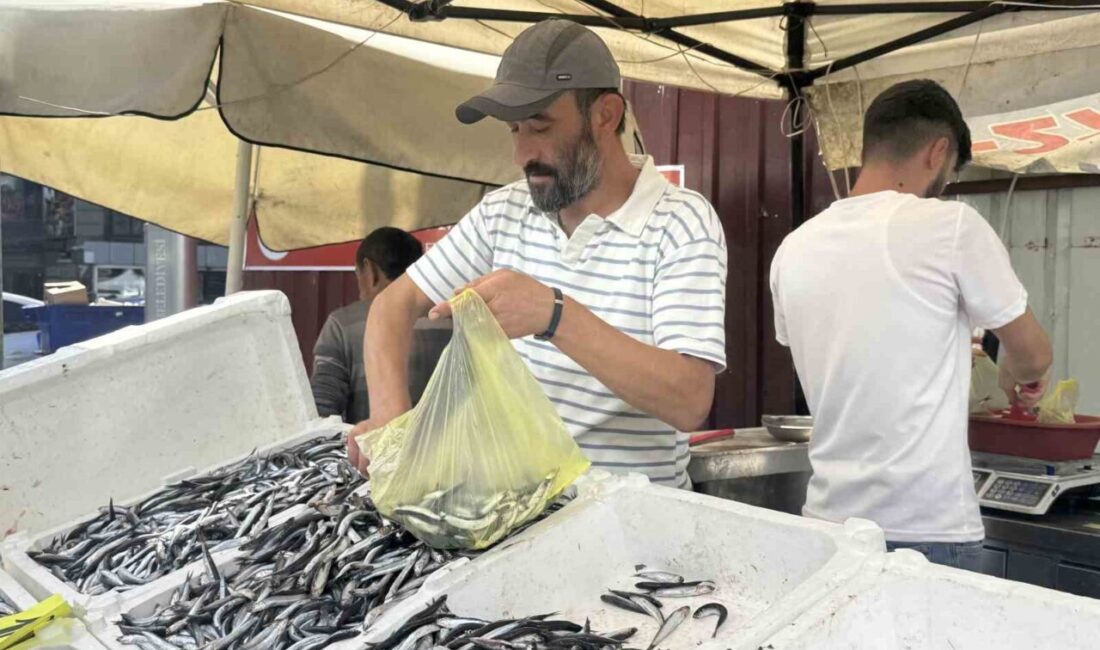 Zonguldak’ta hamsi tezgahlarda 100 liradan alıcı buldu. Zonguldak’ta tezgahlarda hamsi