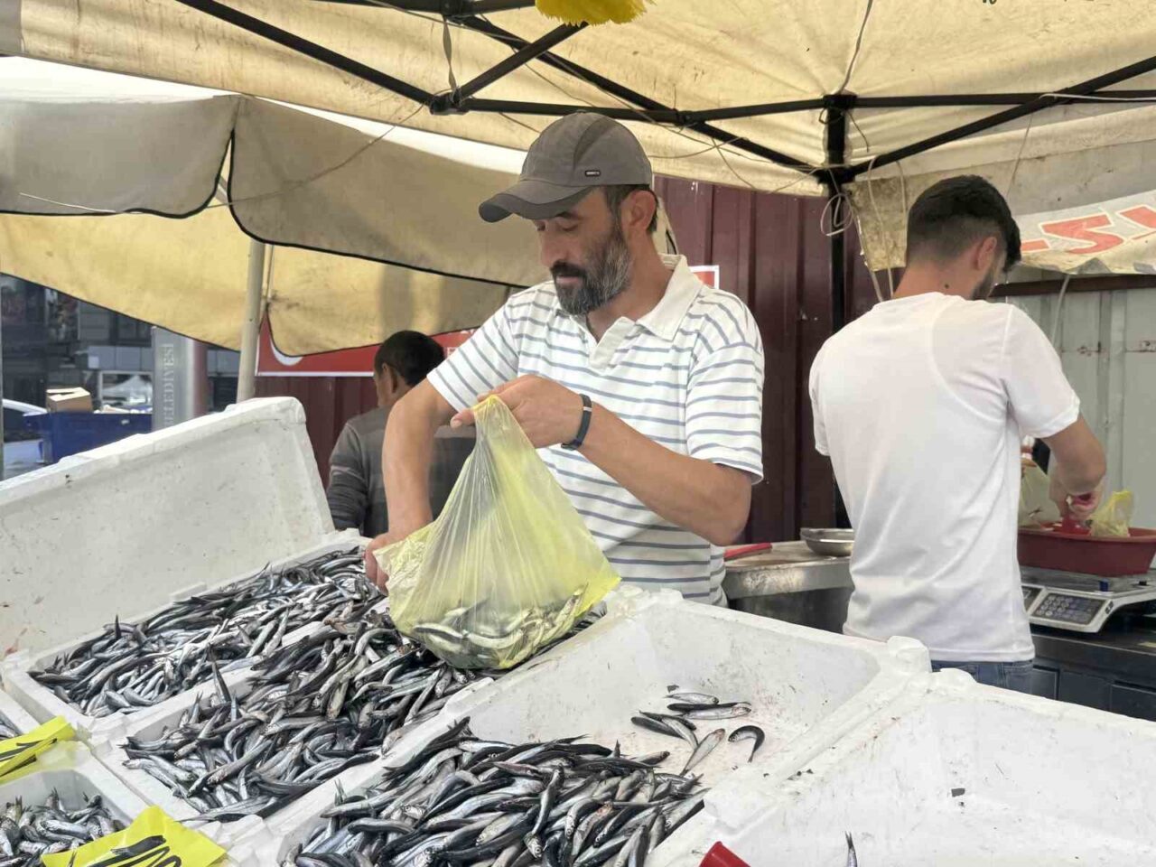 Zonguldak’ta hamsi tezgahlarda 100 liradan alıcı buldu. Zonguldak’ta tezgahlarda hamsi