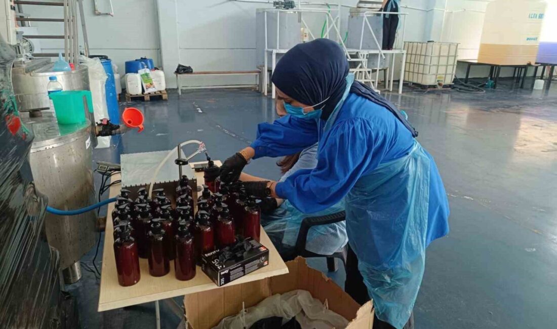 Siirt’in Tillo ilçesinde kadınlar, kendi imkanlarıyla ’Tillo Üreten Eller Kadın