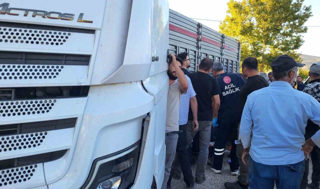 Adıyaman’ın Gölbaşı ilçesinde manevra yapan tır ile otomobillin çarpışması sonucu