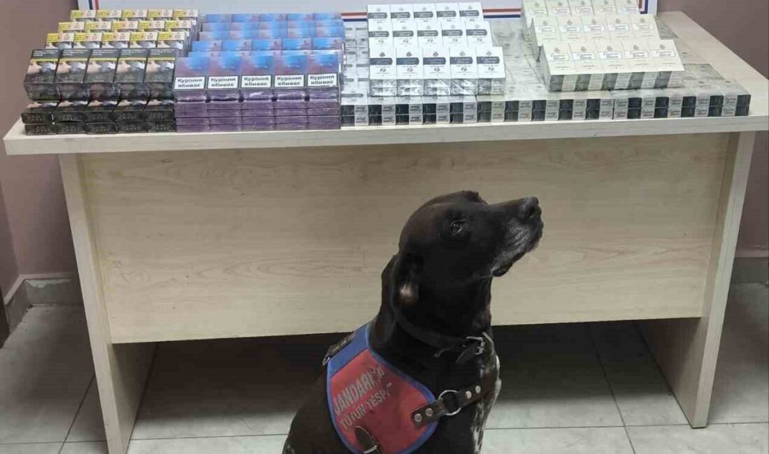 Kayseri’de jandarma ekipleri tarafından yapılan yol kontrol uygulamasında bir tırdan