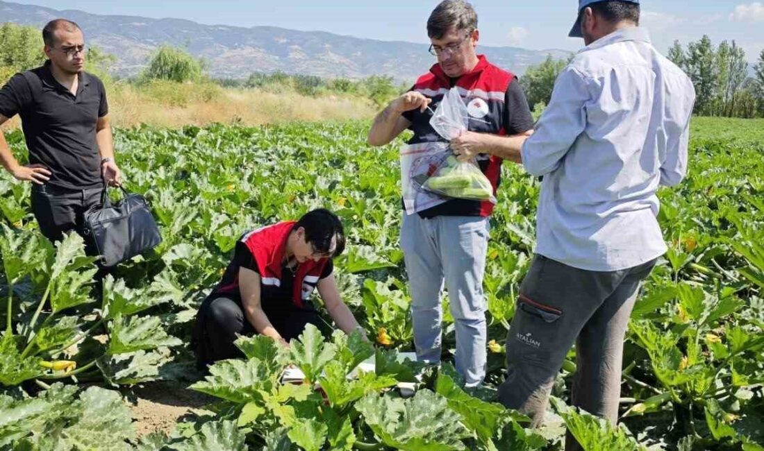 Tokat’ta Tarım ve Orman Bakanlığı’nın yürüttüğü ’Hasat Öncesi Pestisit Denetim