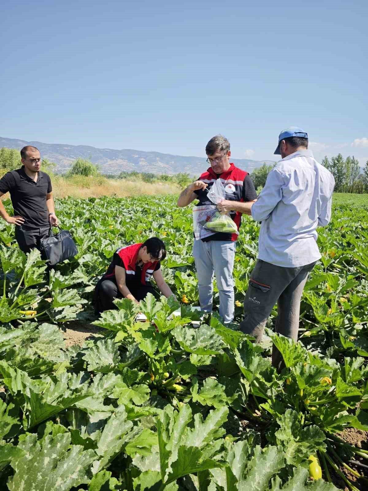 Tokat’ta Tarım ve Orman Bakanlığı’nın yürüttüğü ’Hasat Öncesi Pestisit Denetim