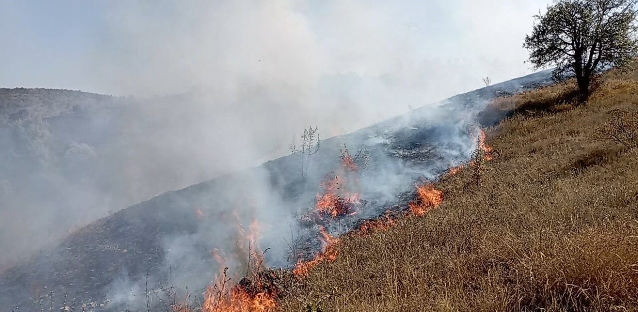 Tokat’ın Artova ilçesinde çıkan arazi yangınına ekipler ve vatandaşlar birlikte