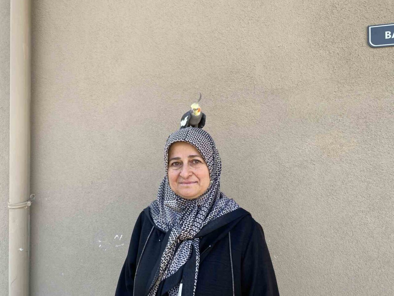 Tokat’ın Zile ilçesinde yaşayan Aynur Babat ile 4 yıldır birlikte