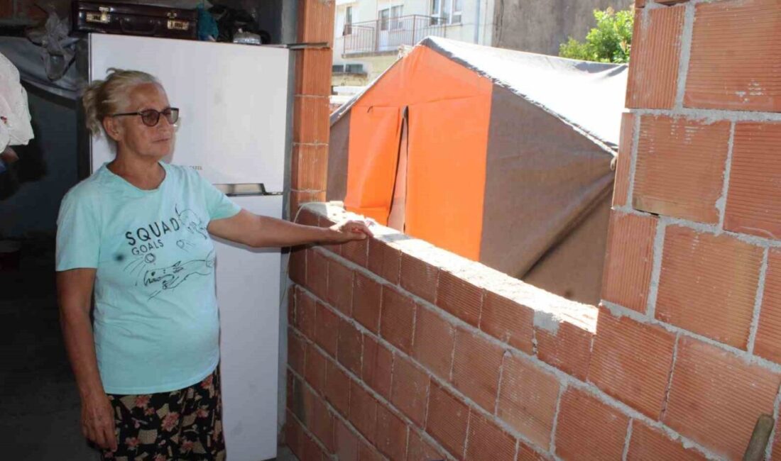 Aydın’ın Efeler ilçesinde atadan kalan ve viraneye dönen evin bahçesinde