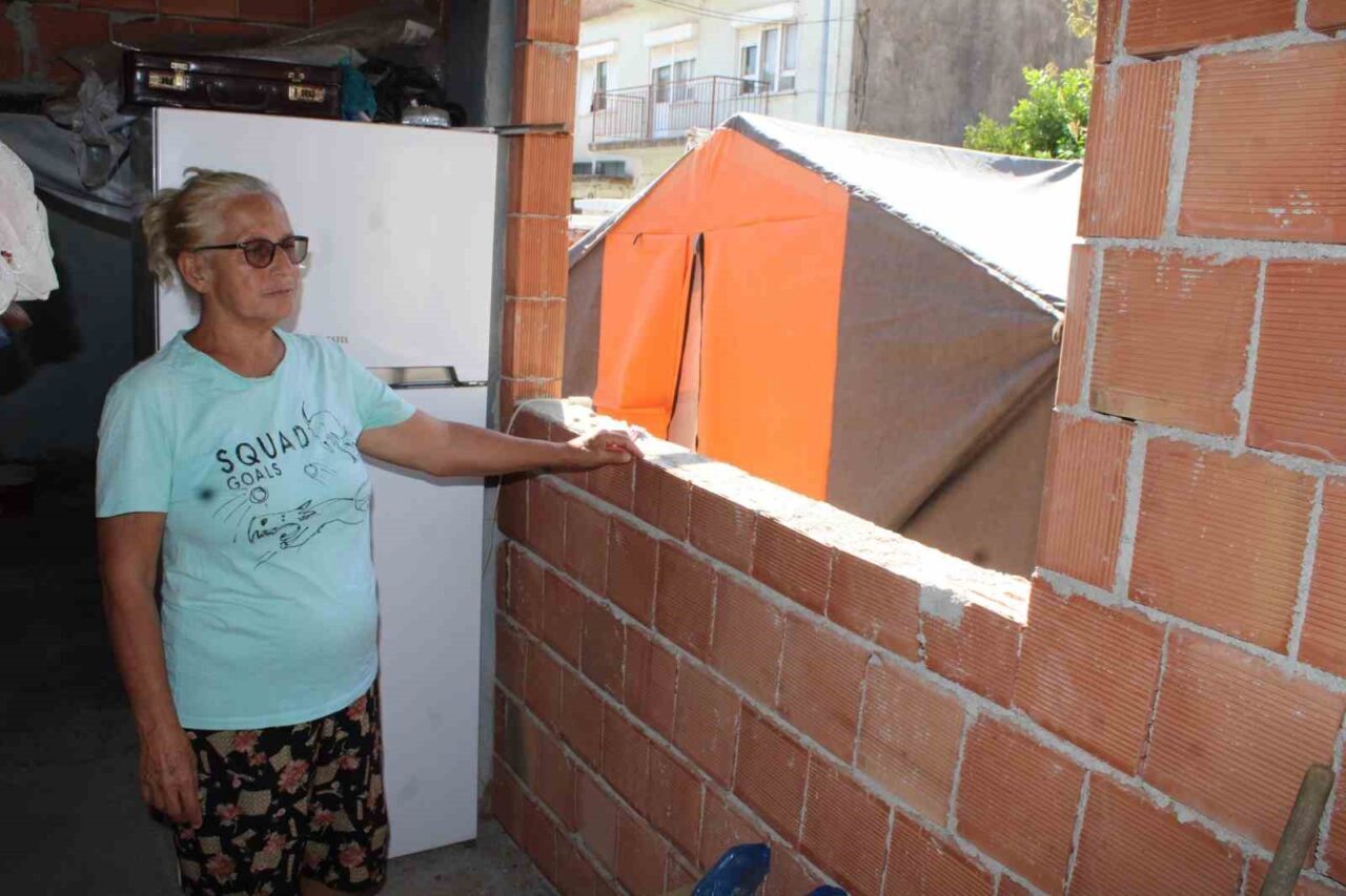 Aydın’ın Efeler ilçesinde atadan kalan ve viraneye dönen evin bahçesinde