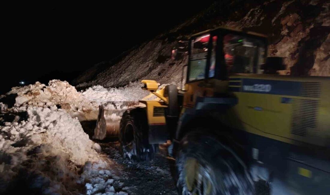Rize’nin Çamlıhemşin ilçesi Tirovit Yaylası’nda meydana gelen çığ nedeniyle yolda