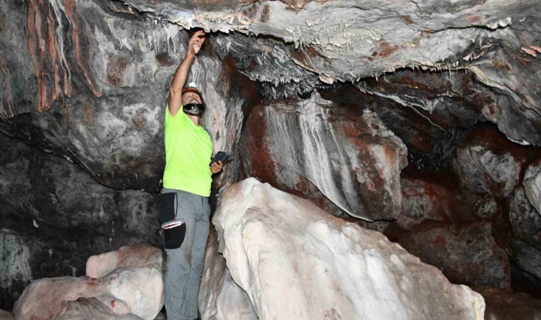 Kastamonu’da tümülüsü andıran tepe içerisinde yer alan ve altın rengi