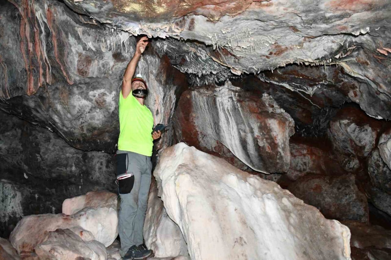 Kastamonu’da tümülüsü andıran tepe içerisinde yer alan ve altın rengi