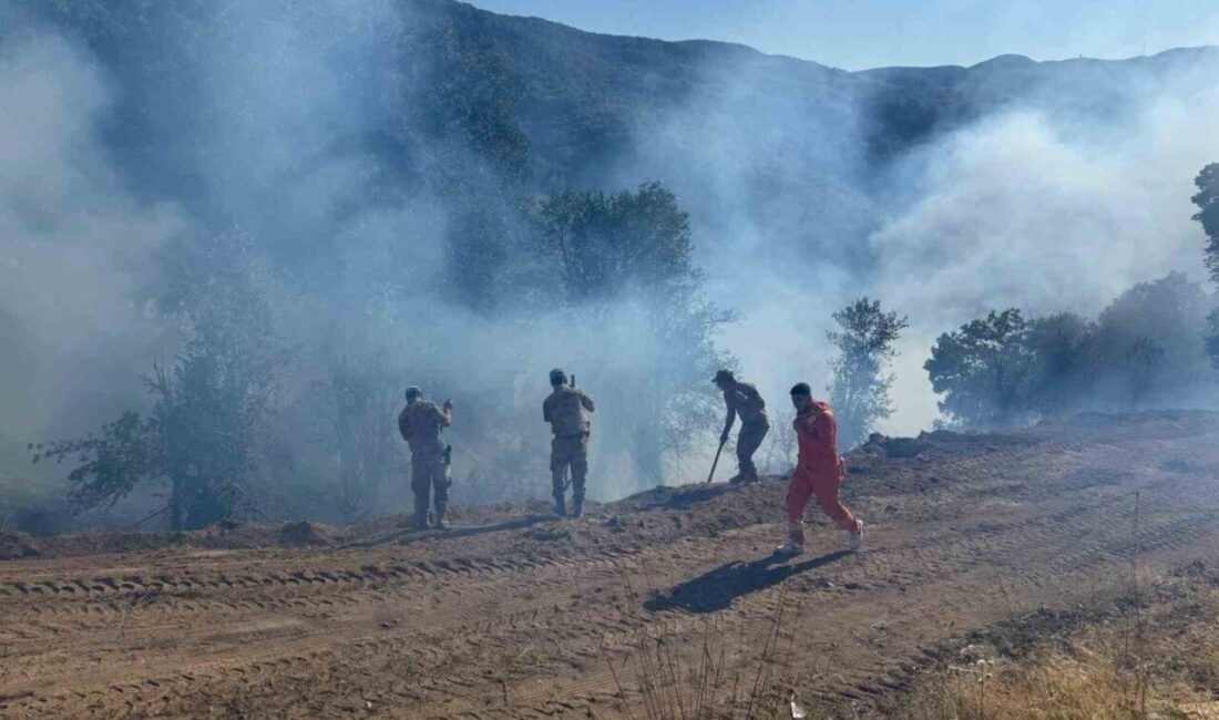 Tunceli’nin Nazımiye ilçesinde meydana gelen kırsal alan yangını kontrol altına