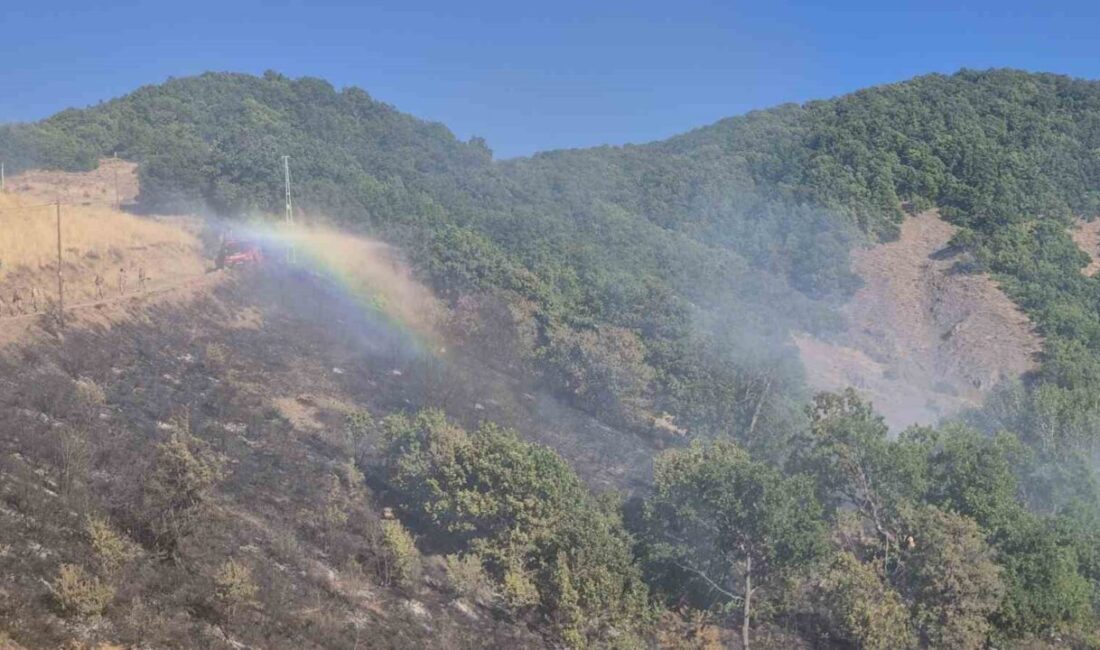 Tunceli’nin Nazımiye ilçesinde, kırsal alanda çıkan yangına havadan ve karadan