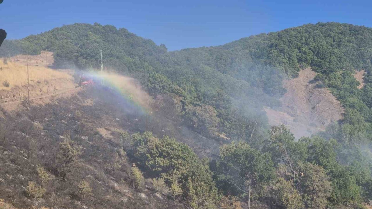 Tunceli’nin Nazımiye ilçesinde, kırsal alanda çıkan yangına havadan ve karadan