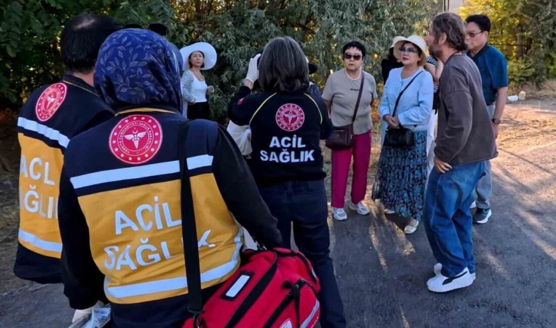 Aksaray’da Çinli turistleri taşıyan tur midibüsüne tırın arkadan çarpması sonucu
