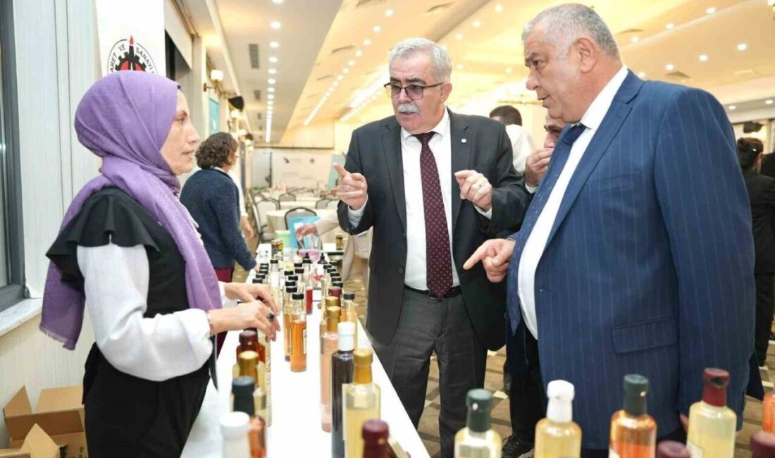 Düzce Ticaret ve Sanayi Odası koordinatörlüğünde faaliyetlerini sürdüren TOBB Düzce