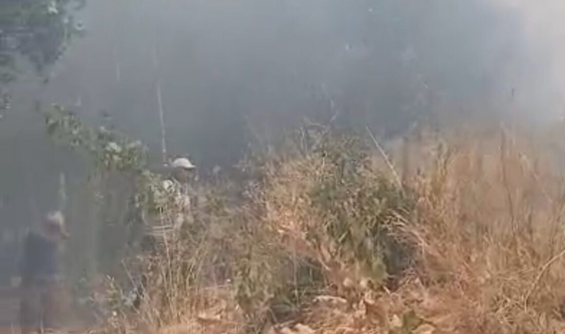 Hakkari’nin Yüksekova ilçesine bağlı Esendere beldesinde çıkan yangın korkuya neden