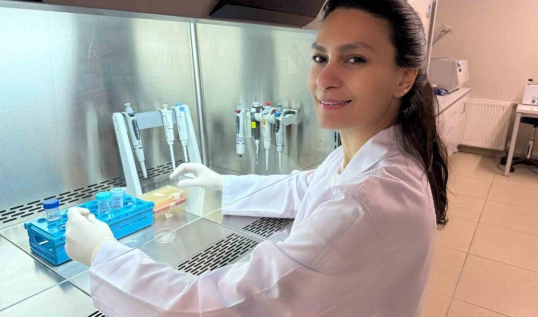 Dr. Yağmur Ekenoğlu Merdan, HIV ile yaşayan kişilerde frengi oranlarının