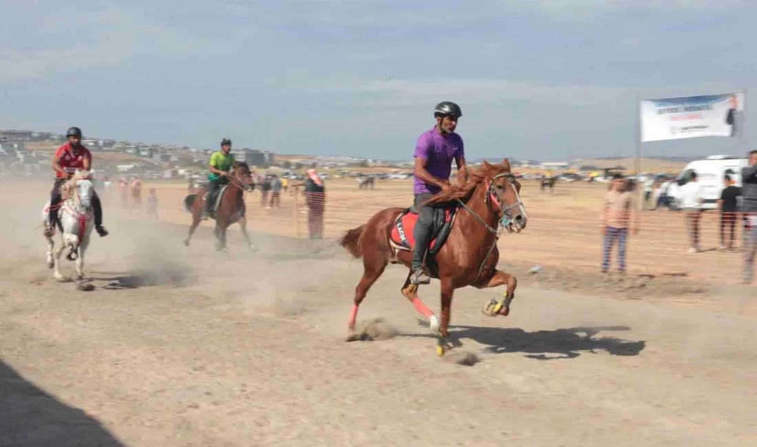 Menemen’de 11. Geleneksel Rahvan At Yarışları şölen havasında yapıldı. 184