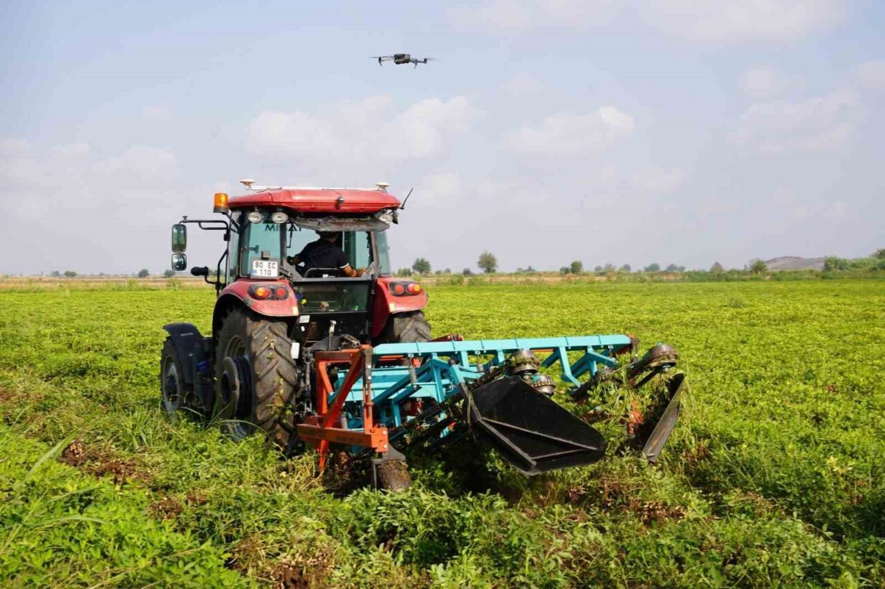 Osmaniye’de yer fıstığı olarak coğrafi işaretli ve Avrupa Birliği (AB)