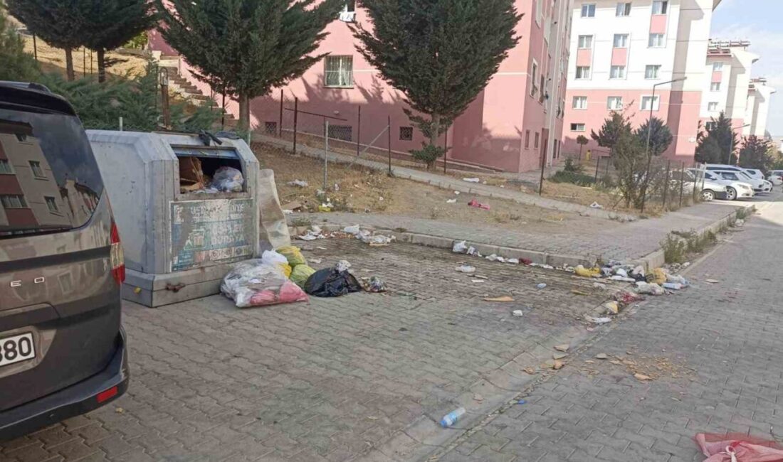 Van’ın Tuşba ilçesinde bulunan Kalecik Mahallesi sakinleri, yolların köstebek yuvasına