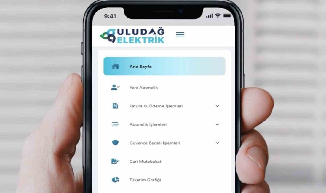 Müşterilerine diledikleri yerden işlem yapma imkanı sunan Uludağ Elektrik,online işlem