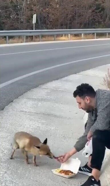 Bursa Uludağ yolunda doğayla iç içe yaşanan unutulmaz bir an,