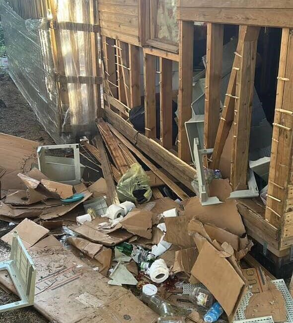 Bursa’nın gözde turizm merkezi Uludağ’da gece saatlerinde yiyecek arayışına çıkan