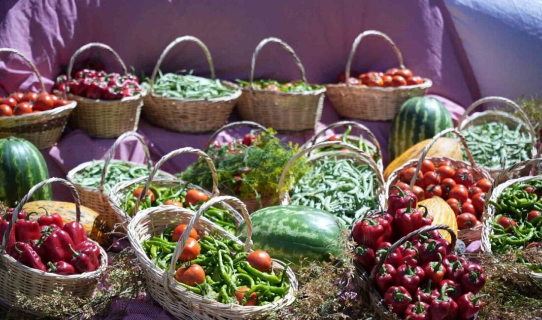 Ankara’nın Çubuk ilçesinde Uluslararası Çubuk Turşu ve Kültür Festivali’nin 17’ncisi