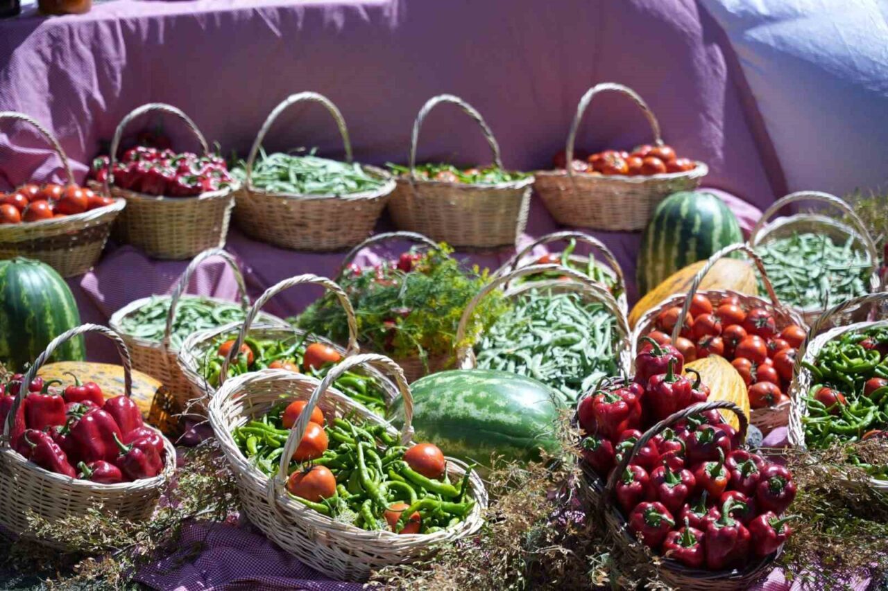 Ankara’nın Çubuk ilçesinde Uluslararası Çubuk Turşu ve Kültür Festivali’nin 17’ncisi