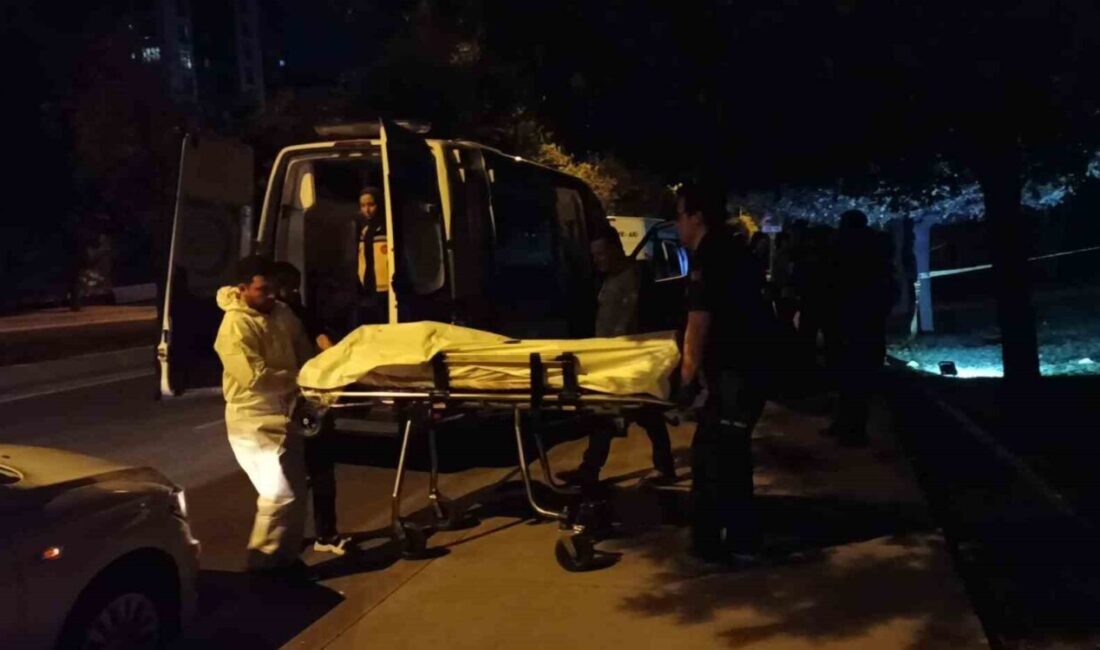 Ümraniye’de Akdeniz Caddesi üzerinde yol kenarındaki ağaçta bir kişinin cansız