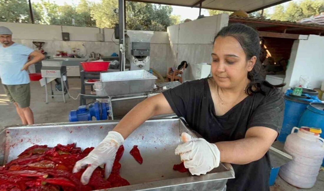 Muğla’nın Yatağan ilçesinde yaşayan genç kadın, işsizlik sorununu kendi girişimiyle