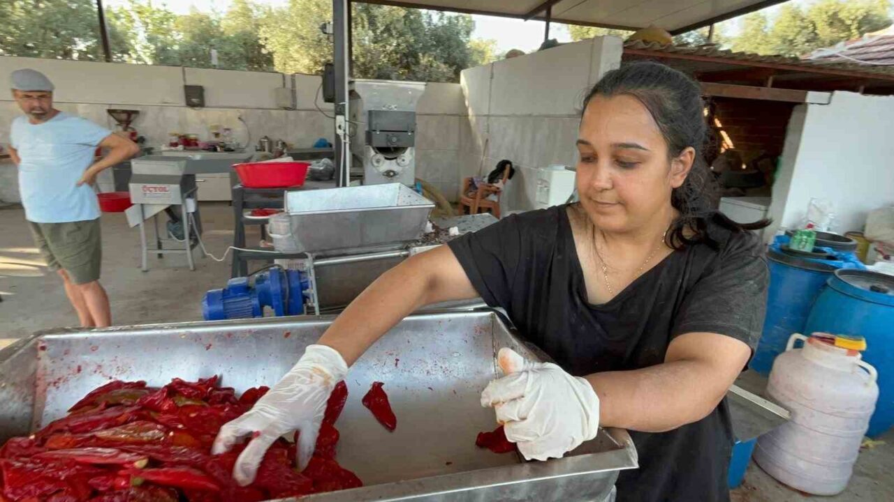 Muğla’nın Yatağan ilçesinde yaşayan genç kadın, işsizlik sorununu kendi girişimiyle