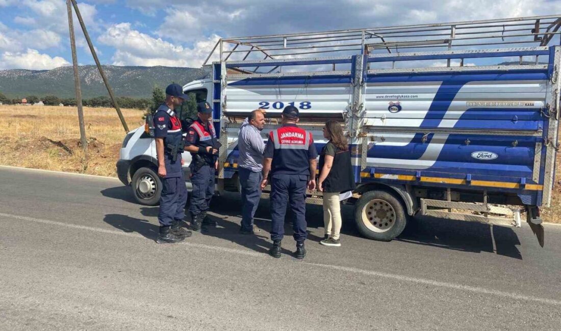 Uşak İl Tarım ve Orman Müdürlüğü ekipleri, şehir içi ve