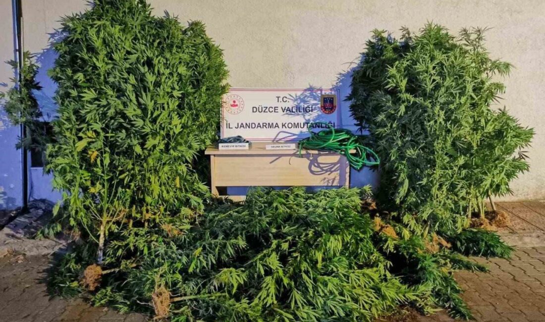 Düzce’de narkotik ekiplerince yapılan operasyonlarda 44 kişiye adli işlem yapıldı,