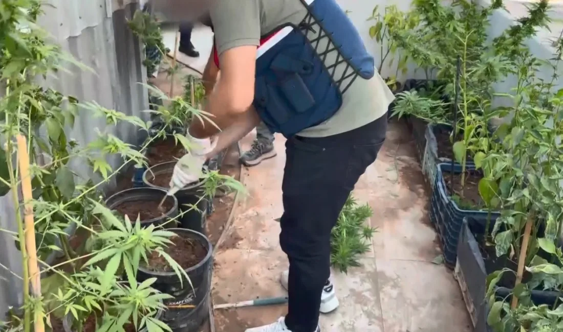 Mersin’de jandarma ekiplerinin düzenlediği operasyonda yakalanan şüphelilerden birinin evinin çevresinde