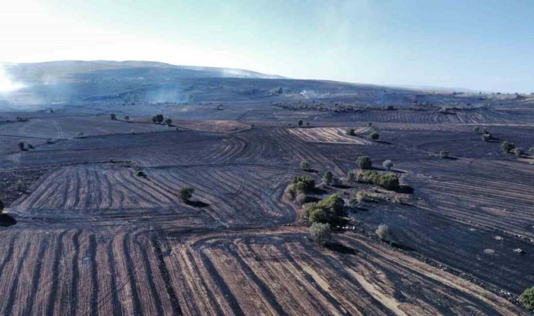 -Ülkemizi kasıp kavuran orman yangınları beraberinde birçok çevre sorununu da
