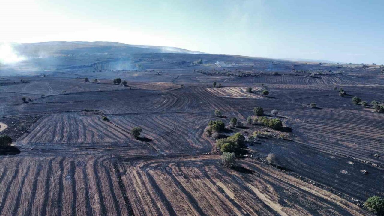 -Ülkemizi kasıp kavuran orman yangınları beraberinde birçok çevre sorununu da