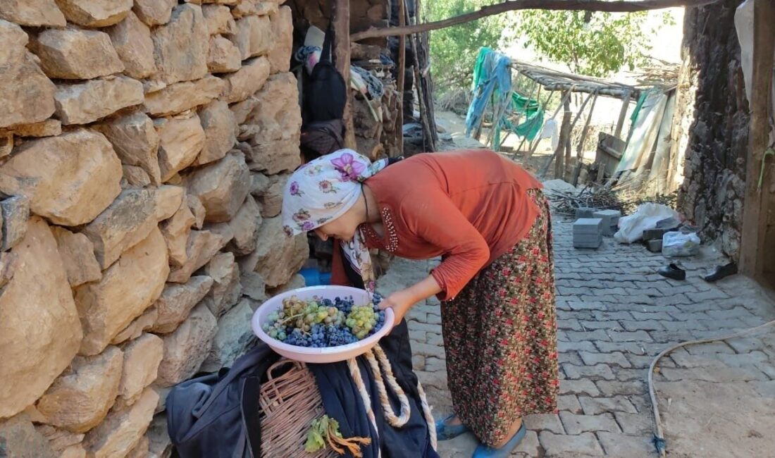 Erzincan’da uzun kış gecelerinde tüketmek için her çeşit meyve kurutulmak