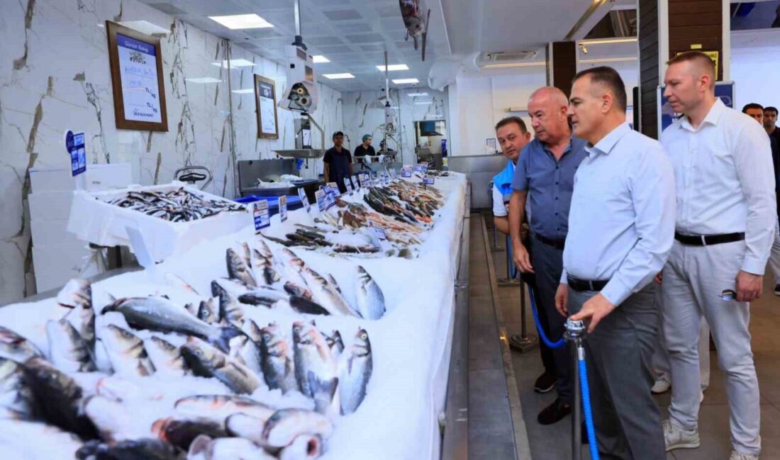 Muğla Valisi Dr. İdris Akbıyık, 2024 yılında 93 bin 122