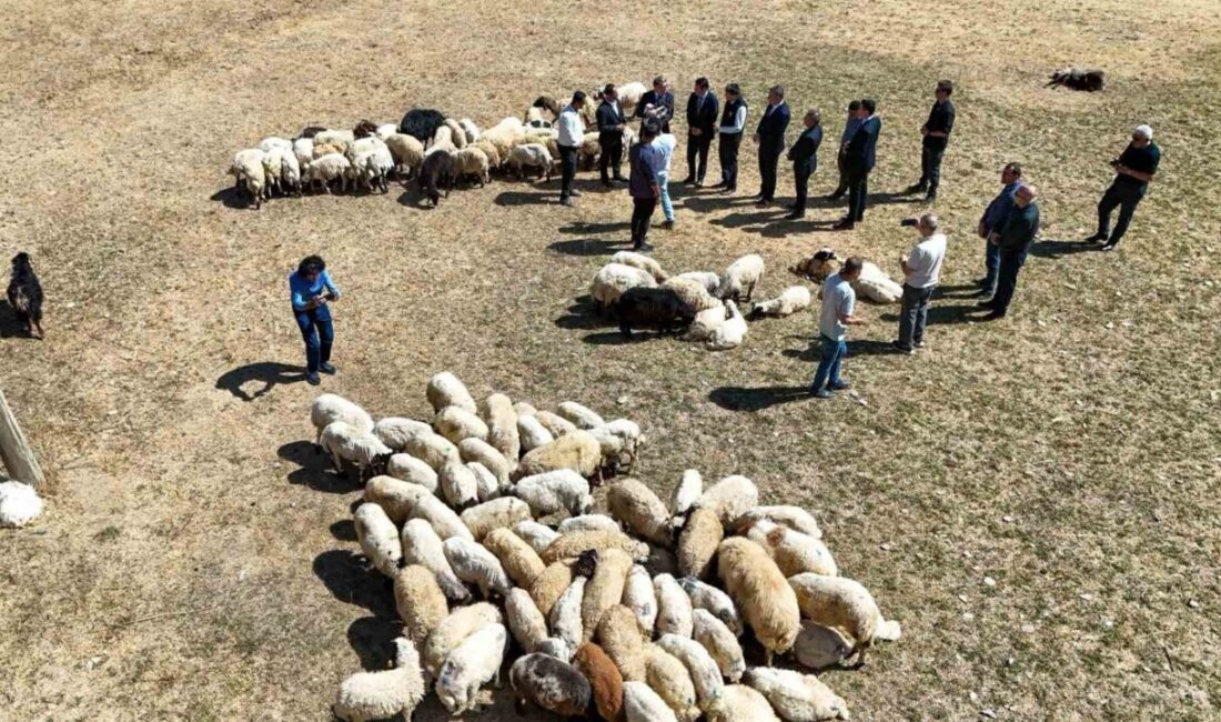 Van Valisi Ozan Balcı, çiftçilere sıfır faizli 5 yıl geri