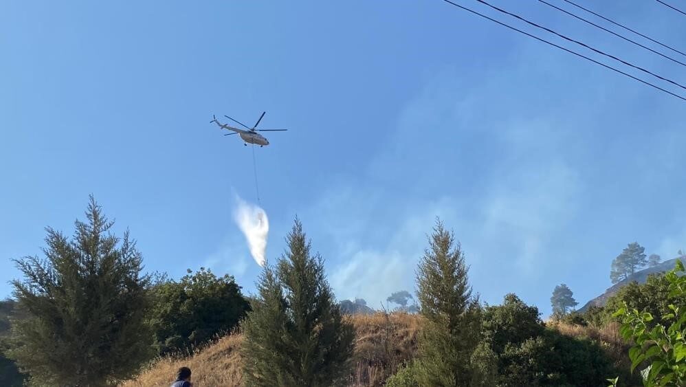 Aydın Valisi Yakup Canbolat, Pınardere Mahallesi’ndeki yangın bölgesinde yaptığı açıklamada,