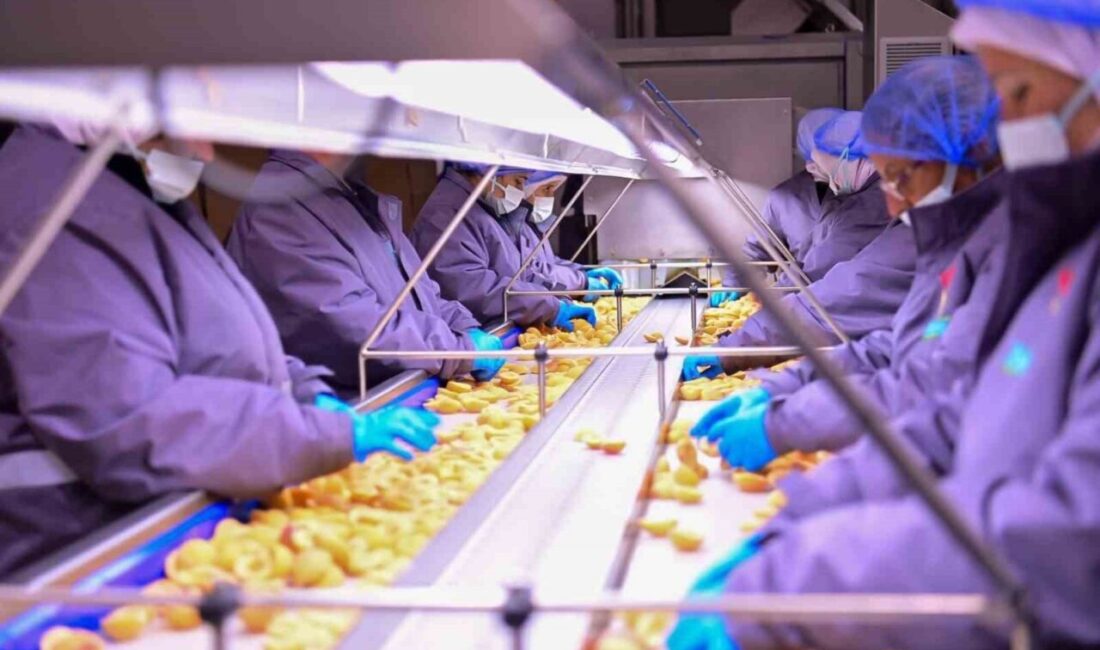 Aydın Valisi Yakup Canbolat, yerli bir gıda firmasının Köşk ilçesindeki