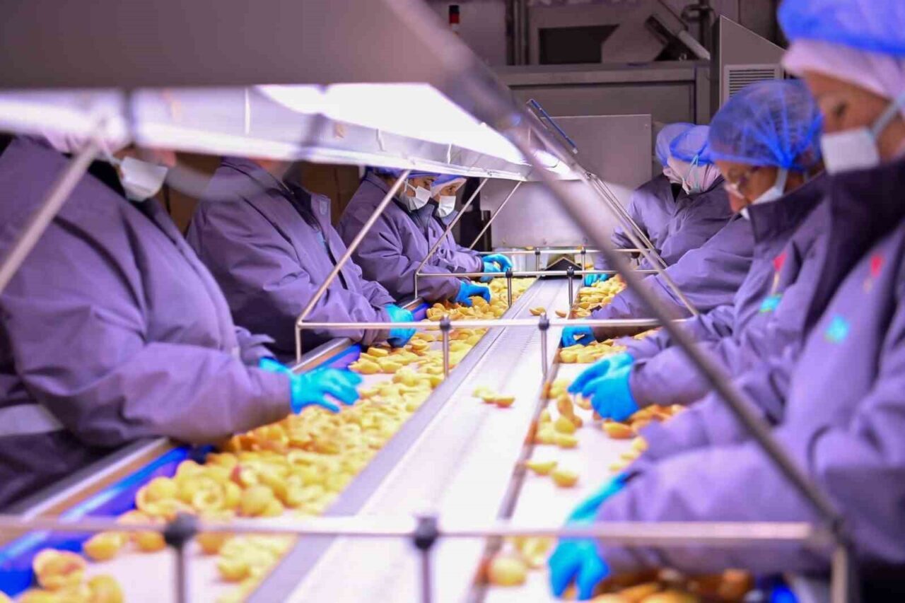 Aydın Valisi Yakup Canbolat, yerli bir gıda firmasının Köşk ilçesindeki