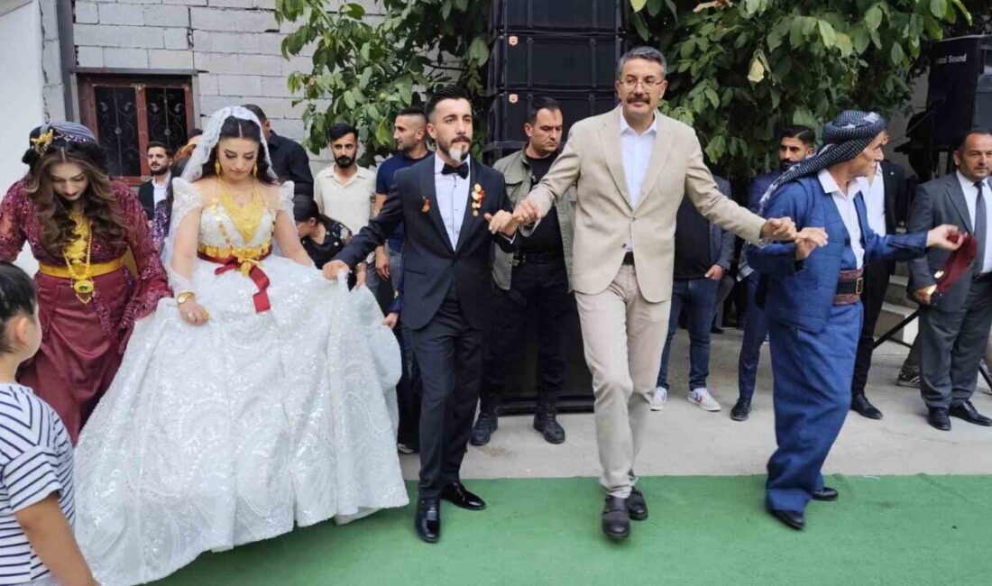 Hakkari Valisi Ali Çelik, Hakkari Şehit ve Gazi Aileleri Derneği