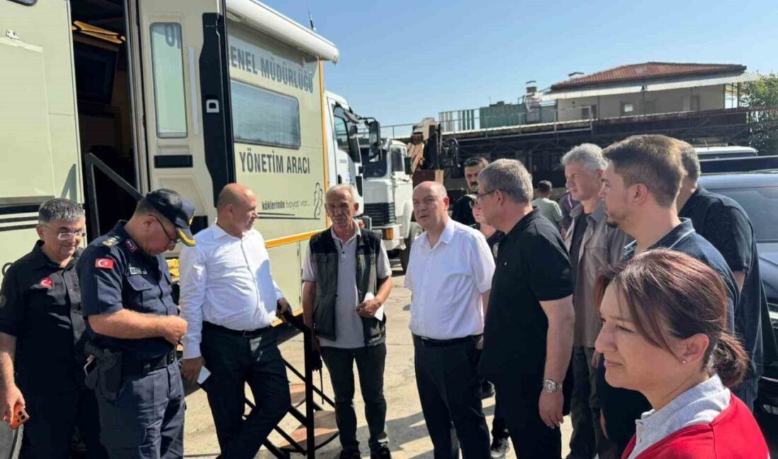 Denizli Valisi Ömer Faruk Coşkun, Buldan ilçesinde çıkan yangının kontrol