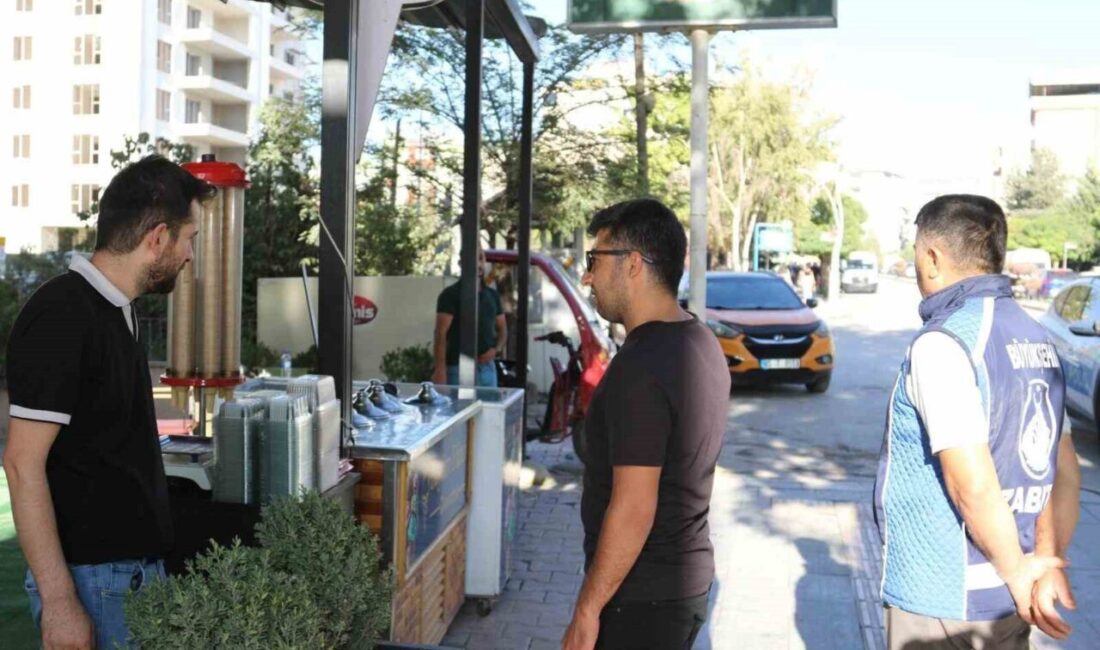 Van Büyükşehir Belediyesi, kent merkezinde kaldırımları, engelli ve araç yollarını