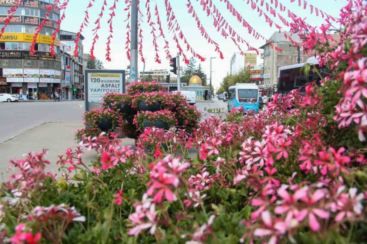 Van Büyükşehir Belediyesi kent estetiğini artırmak ve daha yeşil bir